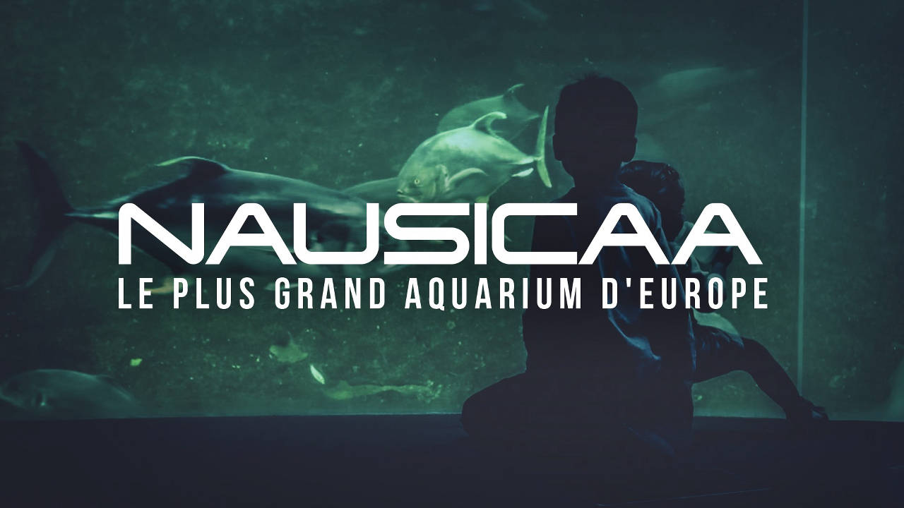 001. Nausicaa, le plus grand aquarium d'Europe
